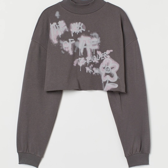 H&M Tops - NWOT H&M Gray Graphic Cropped Oversized Sweatshirt - Women’s X-Large